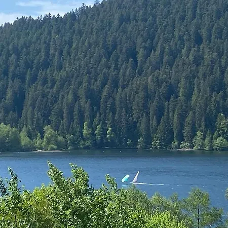 Apartment Spacieux A Avec Vue Sur Lac, 3 Chambres, Wi-fi Et Parking - Fr-1-589-761 Gerardmer