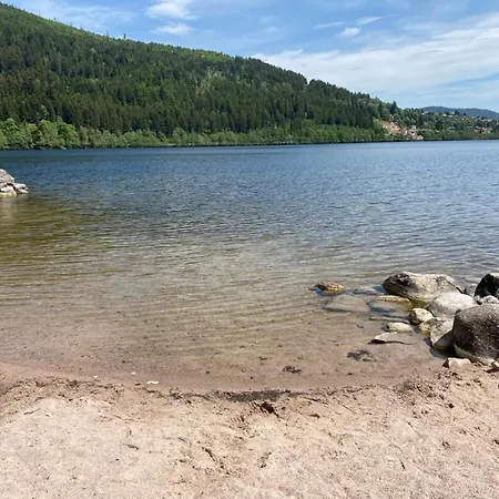 Spacieux à Avec Vue Sur Lac, 3 Chambres, Wi-fi Et Parking - Fr-1-589-761 Appartement