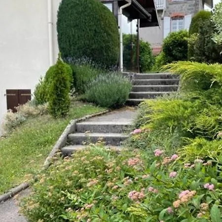 Spacieux A Avec Vue Sur Lac, 3 Chambres, Wi-fi Et Parking - Fr-1-589-761 Gérardmer