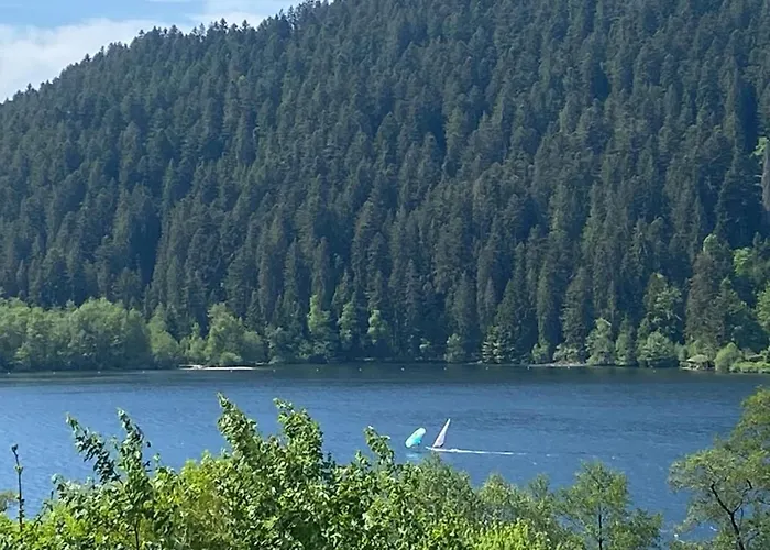 公寓 Spacieux A Avec Vue Sur Lac, 3 Chambres, Wi-fi Et Parking - Fr-1-589-761 热拉梅